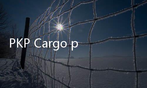 PKP Cargo purchase 15 Siemens multi